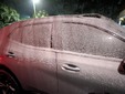 Enlarge photo 115