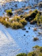 Enlarge photo 130