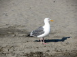 Enlarge photo 105