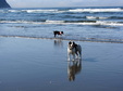 Enlarge photo 33