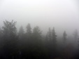 Enlarge photo 90