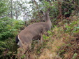 Enlarge photo 102