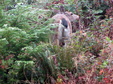 Enlarge photo 103