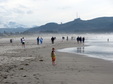 Enlarge photo 51