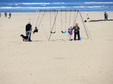 Enlarge photo 94