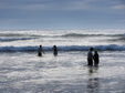 Enlarge photo 54