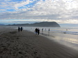Enlarge photo 61