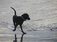 Enlarge photo 92