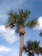 Enlarge photo 30