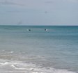 Enlarge photo 64