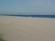 Enlarge photo 65