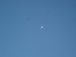 Enlarge photo 74