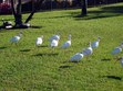 Enlarge photo 76