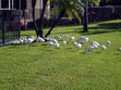 Enlarge photo 77