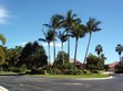 Enlarge photo 84