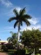 Enlarge photo 83