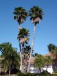 Enlarge photo 91