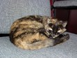 Enlarge photo 24