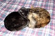 Enlarge photo 25