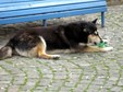 Enlarge photo 37