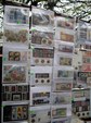 Enlarge photo 66