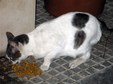 Enlarge photo 79