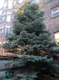 Enlarge photo 22