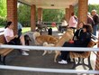Enlarge photo 32