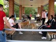Enlarge photo 34