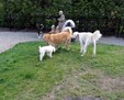Enlarge photo 48