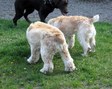 Enlarge photo 49