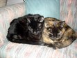 Enlarge photo 28