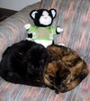 Enlarge photo 17