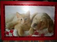 Enlarge photo 29