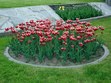 Enlarge photo 48