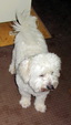 Enlarge photo 34