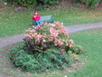 Enlarge photo 30