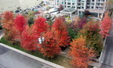 Enlarge photo 45