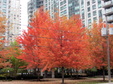 Enlarge photo 43
