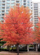 Enlarge photo 41