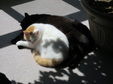 Enlarge photo 38