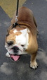 Enlarge photo 48