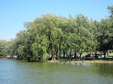 Enlarge photo 29