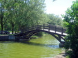 Enlarge photo 30