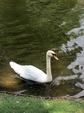 Enlarge photo 26