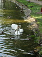 Enlarge photo 31