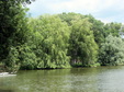 Enlarge photo 16
