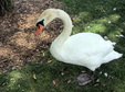 Enlarge photo 30