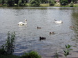 Enlarge photo 29