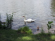 Enlarge photo 35